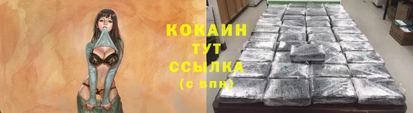 твердый Верхний Тагил