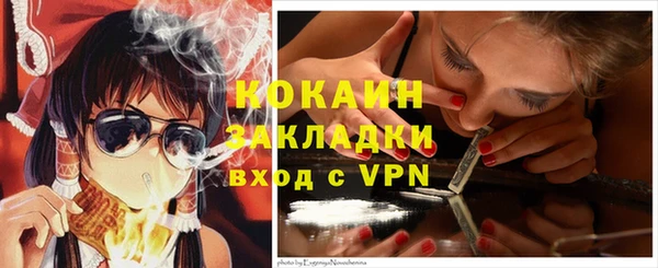 твердый Верхний Тагил