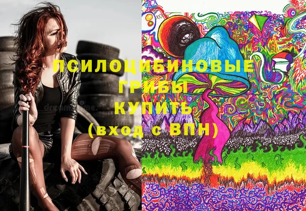 твердый Верхний Тагил