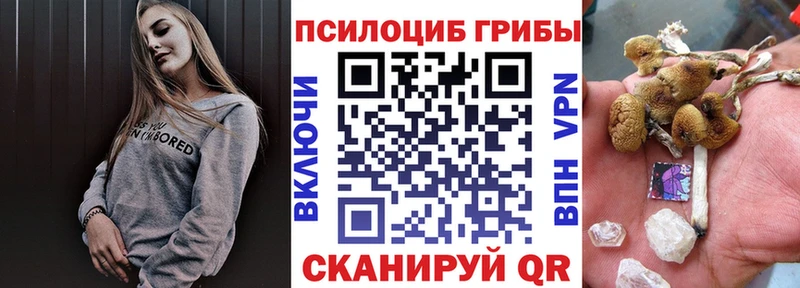 Купить Багратионовск Галлюциногенные грибы MAGIC MUSHROOMS
